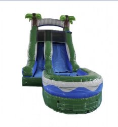 Slides Slides
